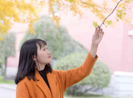 详细排列菲律宾签证移民项目 全面解读